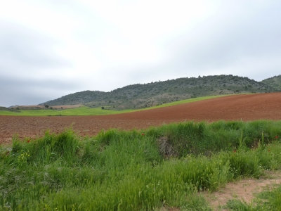 Manantial de la acequia la viga - imagen 2