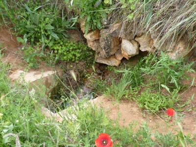 Manantial de la acequia la viga - imagen 3