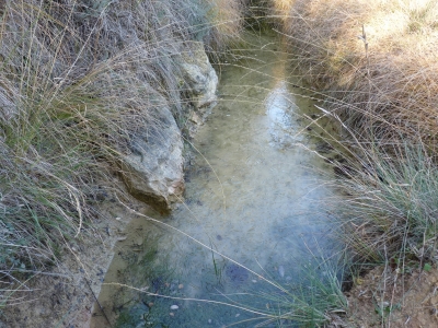 Manantial de la Cuesta de los Robles - imagen 1