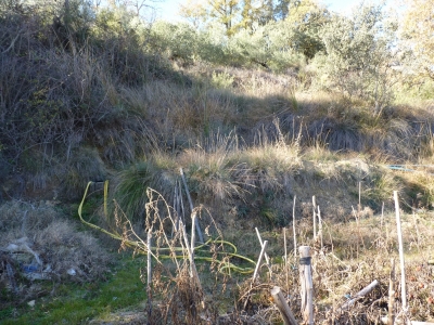 Manantial de la Cuesta de los Robles - imagen 2