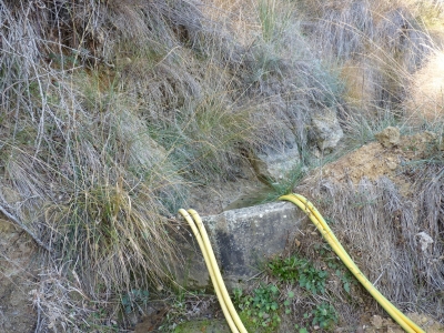 Manantial de la Cuesta de los Robles - imagen 4