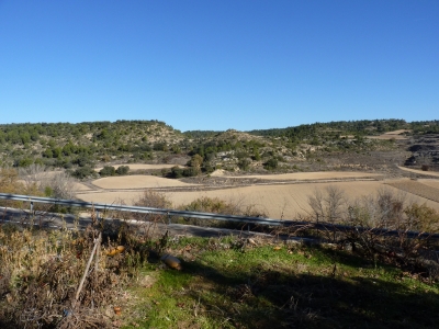Manantial de la Cuesta de los Robles - imagen 6