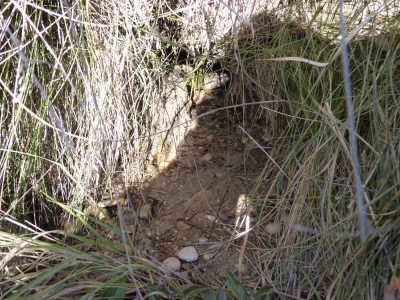 Manantial de los Hontanares - imagen 3