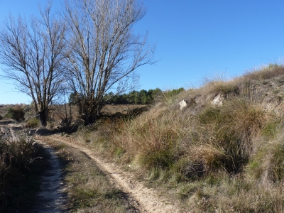 Manantial de los Hontanares - imagen 7