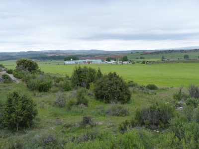 Manantial de los Vallejuelos - imagen 1