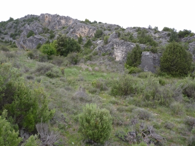Manantial de los Vallejuelos - imagen 2