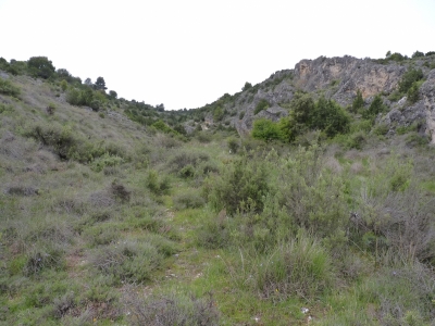 Manantial de los Vallejuelos - imagen 6