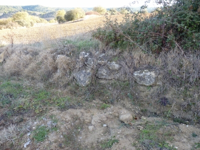 Manantial de Procerrao - imagen 2