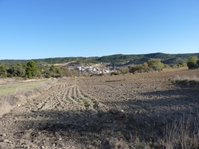 Manantial de Procerrao - imagen 6