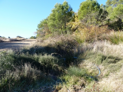 Manantial del collado - imagen 1