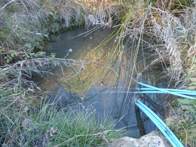 Manantial del collado - imagen 2