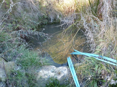 Manantial del collado - imagen 3