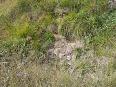 Manantial del Calzaizo - imagen 2