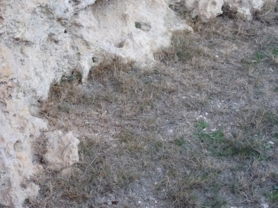 Manantial del Valle - imagen 1