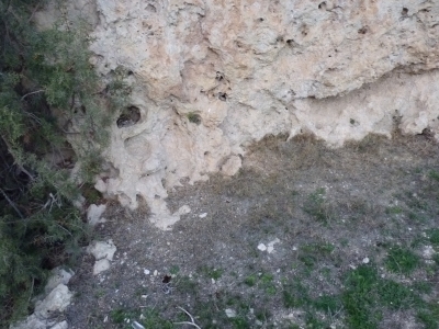 Manantial del Valle - imagen 2