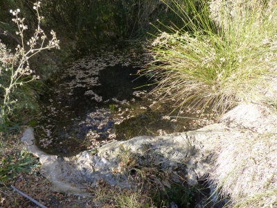 Manantiales del Tejar I - imagen 1