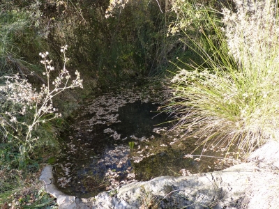 Manantiales del Tejar I - imagen 3