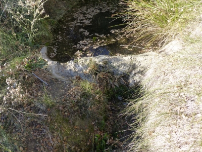 Manantiales del Tejar I - imagen 4