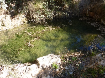 Manantiales del Tejar II - imagen 4