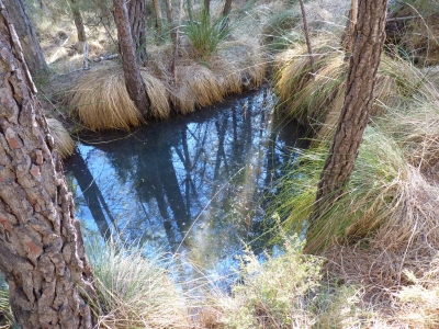 Fuente el Masegar - imagen 6