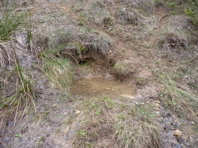 Fuente de la Parra de Cañahonda - imagen 1