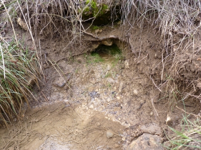 Fuente de la Parra de Cañahonda - imagen 4