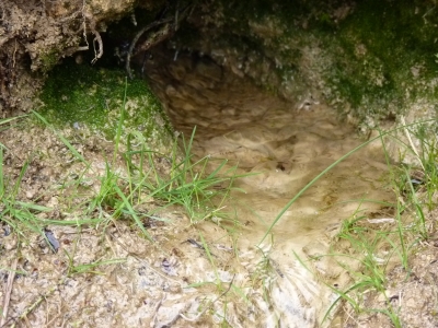 Fuente de la Parra de Cañahonda - imagen 6