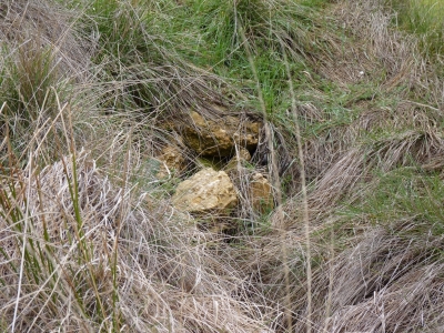 Fuente Peñuela - imagen 3