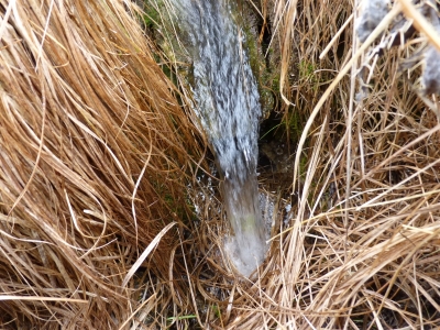 Fuente Peñuela - imagen 6