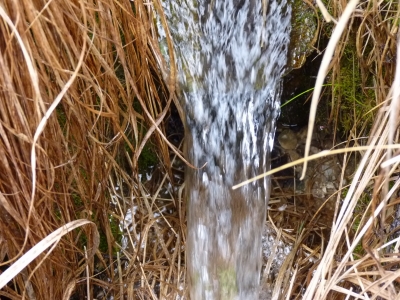 Fuente Peñuela - imagen 7
