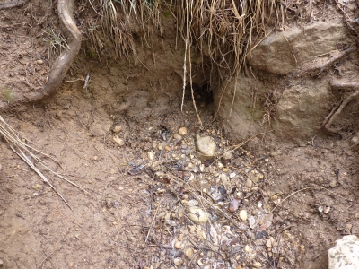 Fuente de los Pescadores - imagen 2