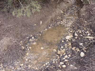 Fuente de los Pescadores - imagen 5