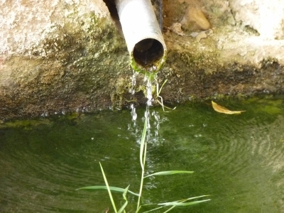 Fuente de la Pila - imagen 4