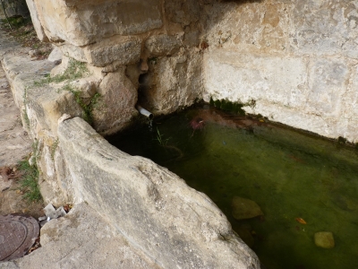 Fuente de la Pila - imagen 7