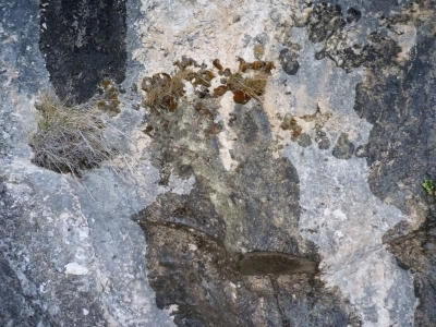 Fuente la Pililla - imagen 2