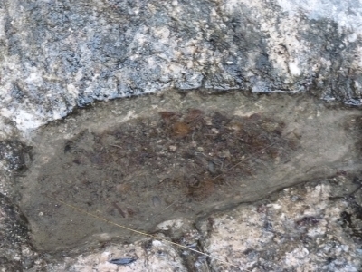 Fuente la Pililla - imagen 3