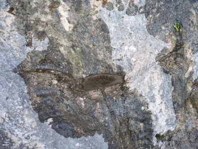 Fuente la Pililla - imagen 5