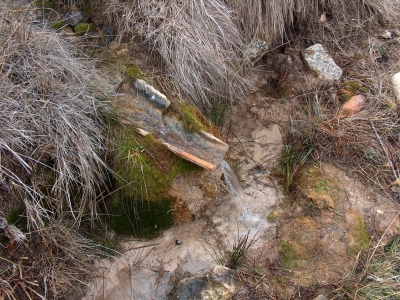 Fuente Pinillo - imagen 1