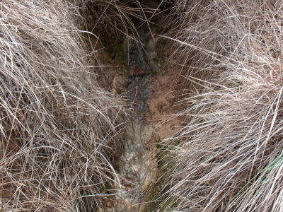 Fuente Pinillo - imagen 2