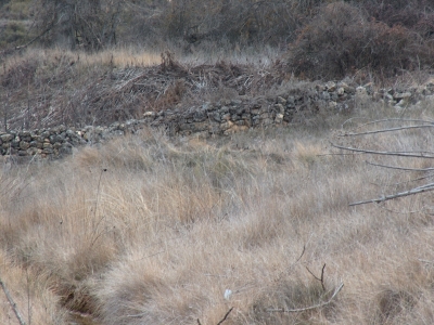 Fuente Pinillo - imagen 3