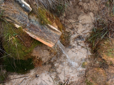 Fuente Pinillo - imagen 4