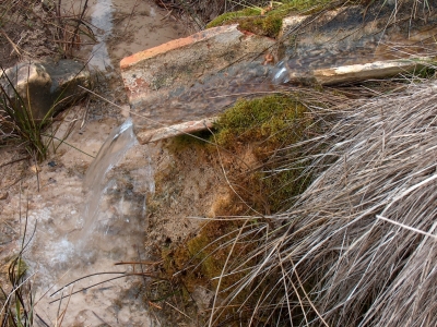 Fuente Pinillo - imagen 5