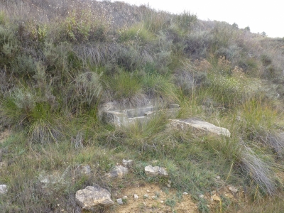 Fuente del Piojo - imagen 1