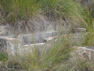 Fuente del Piojo - imagen 3