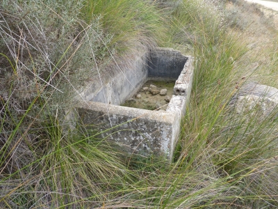 Fuente del Piojo - imagen 5