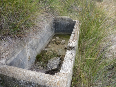Fuente del Piojo - imagen 7