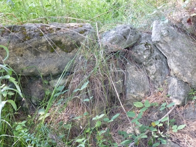 Fuente del Piojo - imagen 5