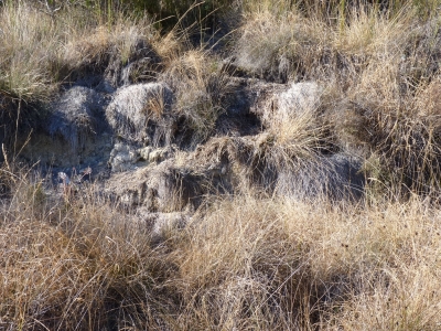 Fuente de la Poceta - imagen 2