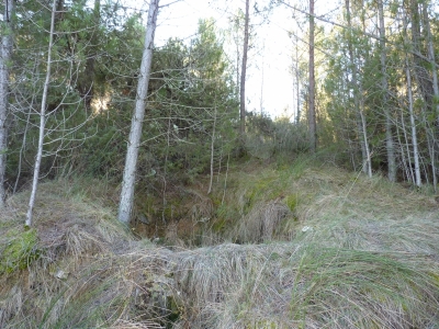 Poza del Obispo - imagen 1