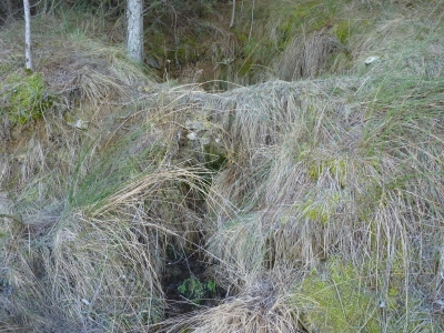 Poza del Obispo - imagen 2